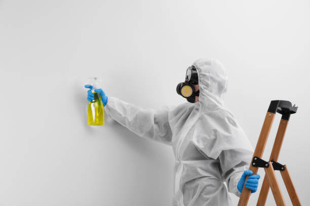 Professional Mold Removal in Geneva, NE